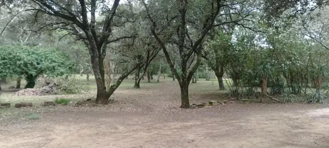 Evasion En Pleine Nature, Tipi Insolite Et Jacuzzi Au Pont Du Gard ! Vers-Pont-du-Gard Eksteriør bilde